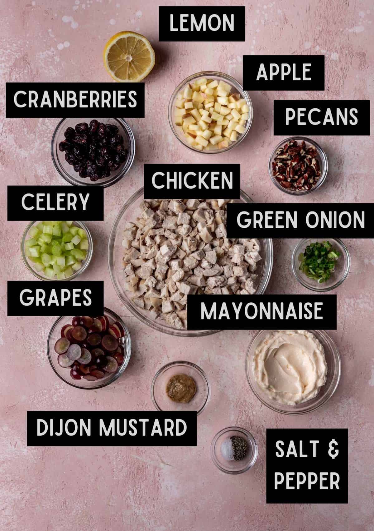 Labelled ingredients for cranberry pecan chicken salad (see recipe for details).