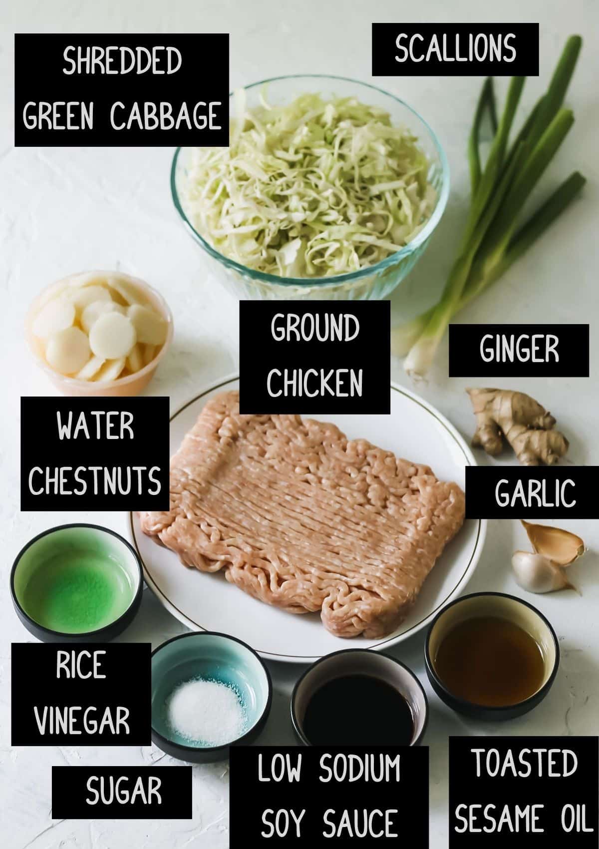 Labelled chicken dumpling filling ingredients (see recipe for details).