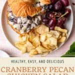 Pin graphic for cranberry pecan chicken salad.