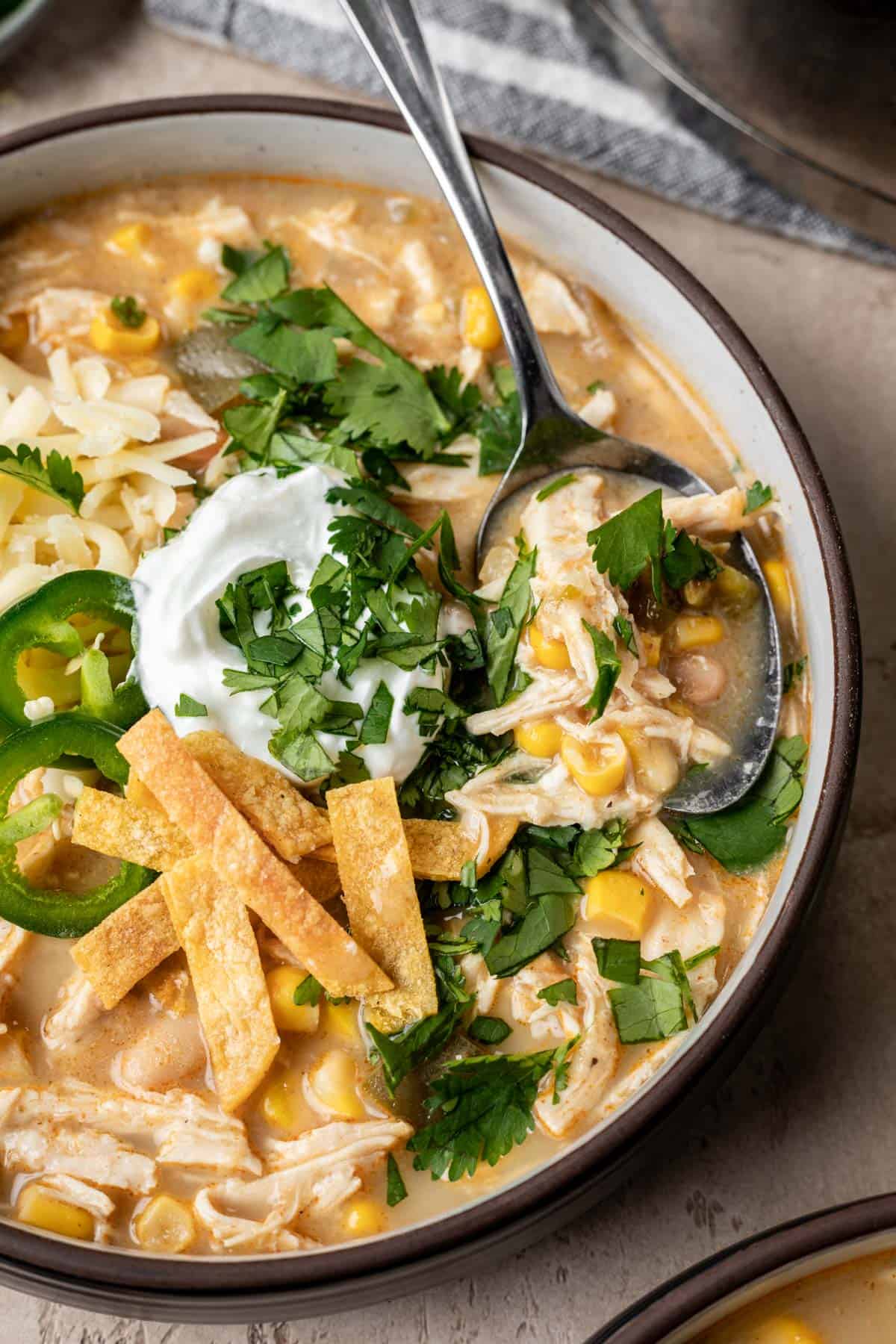 A spoon scooping up chicken chili from a bowl.