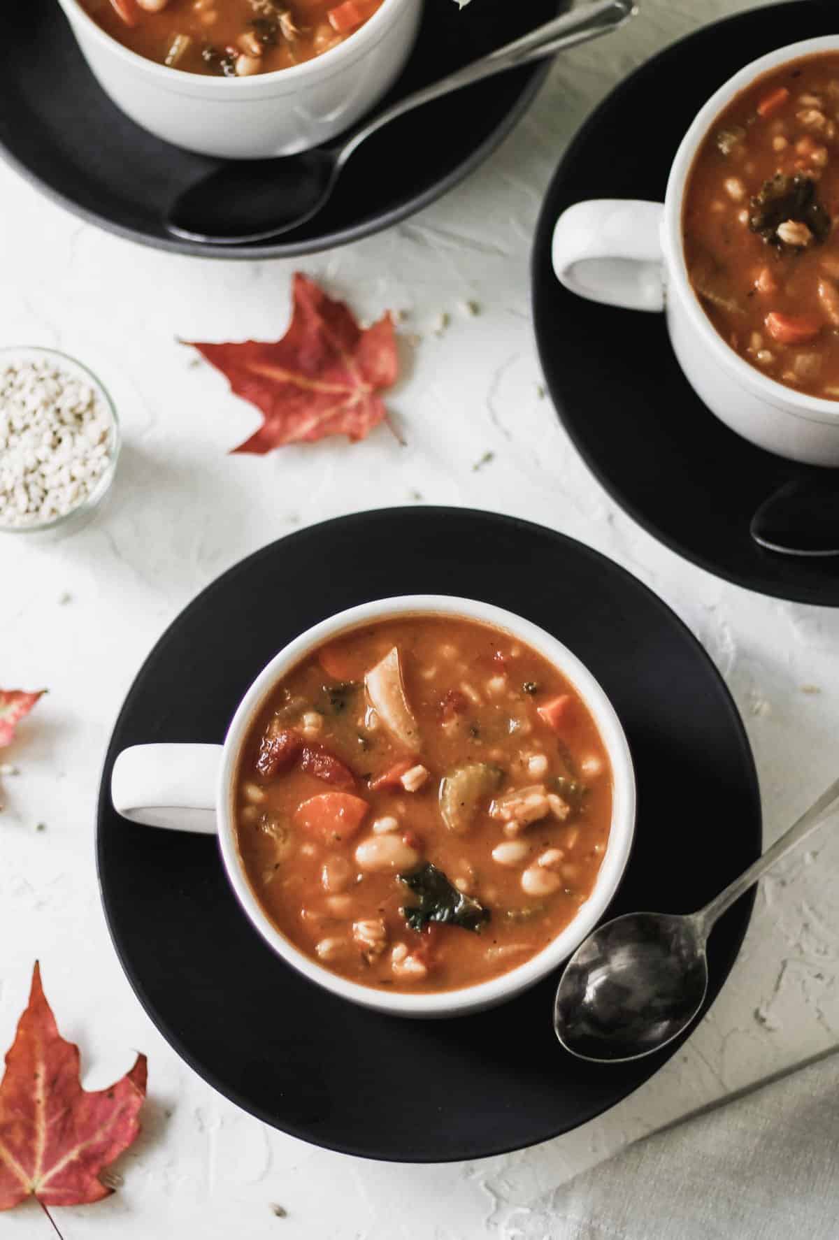 Soup in a white mug on top of a black bowl with a metal spoon and red leaves surrounding it.