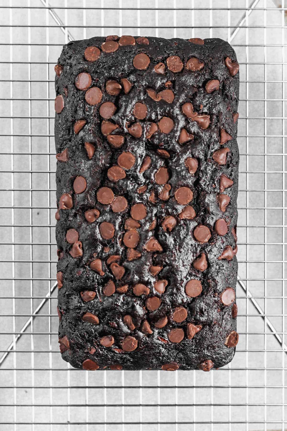 Baked chocolate zucchini bread cooling on a metal cooling rack.