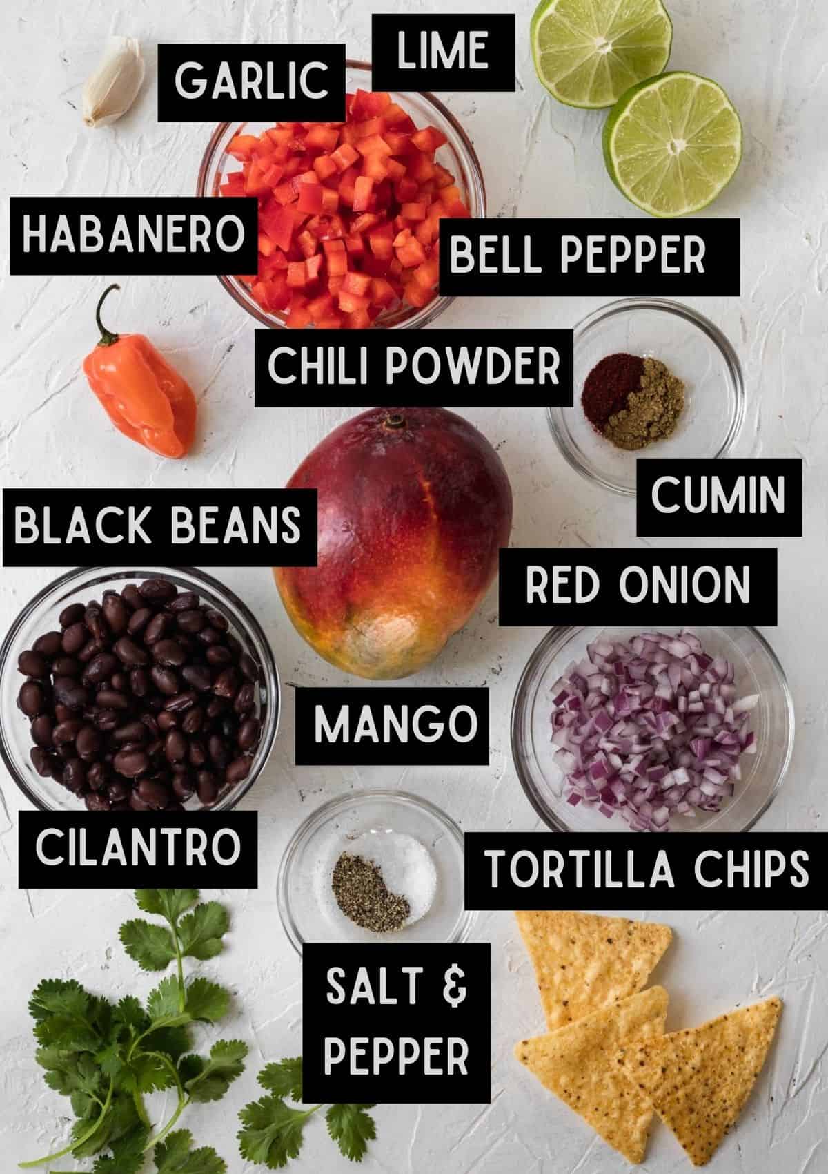 Labelled ingredients for mango habanero salsa with black beans (see recipe for details).