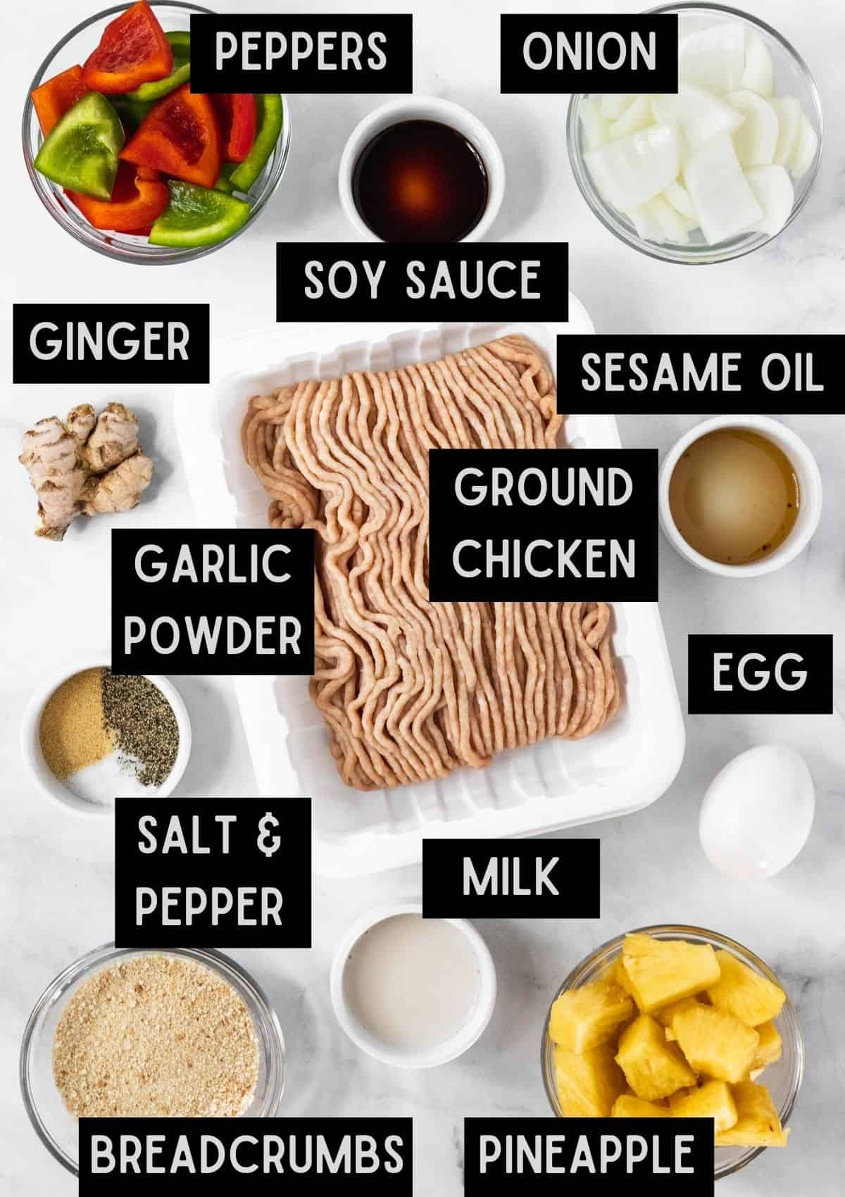 Labelled ingredients for healthy chicken meatballs (see recipe for details).