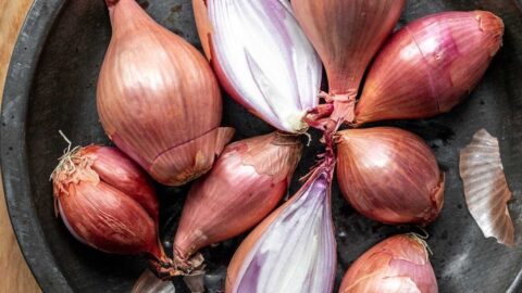 How to Cut Shallots (3 Ways) - It's a Veg World After All®