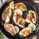 Golden brown chicken breasts cooked in a cast iron skillet.