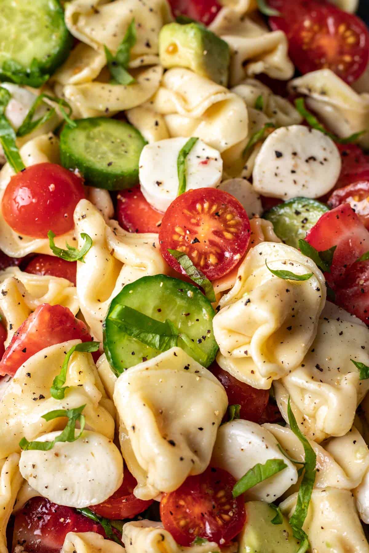 Tortellini, cucumbers, tomatoes, basil, and mozzarella cheese mixed together.