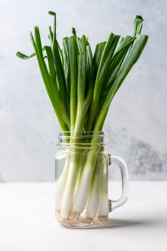 How to Cut Green Onions (Scallions) Your Home, Made Healthy