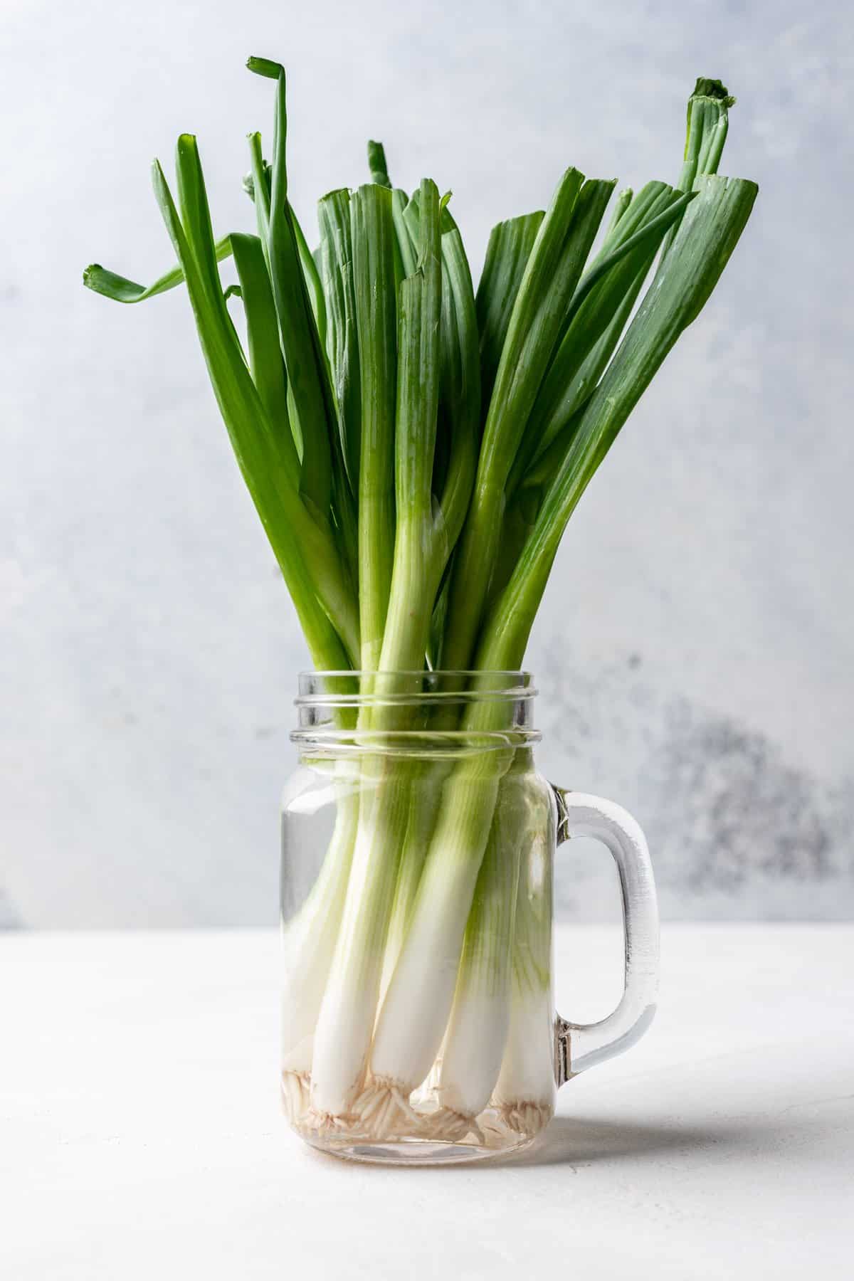 Green onions in a glass jar with water.