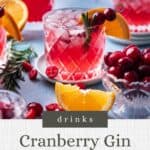 Pin graphic for cranberry gin cocktail.