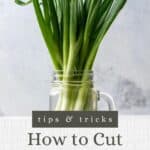 Pin graphic for how to cut green onions.