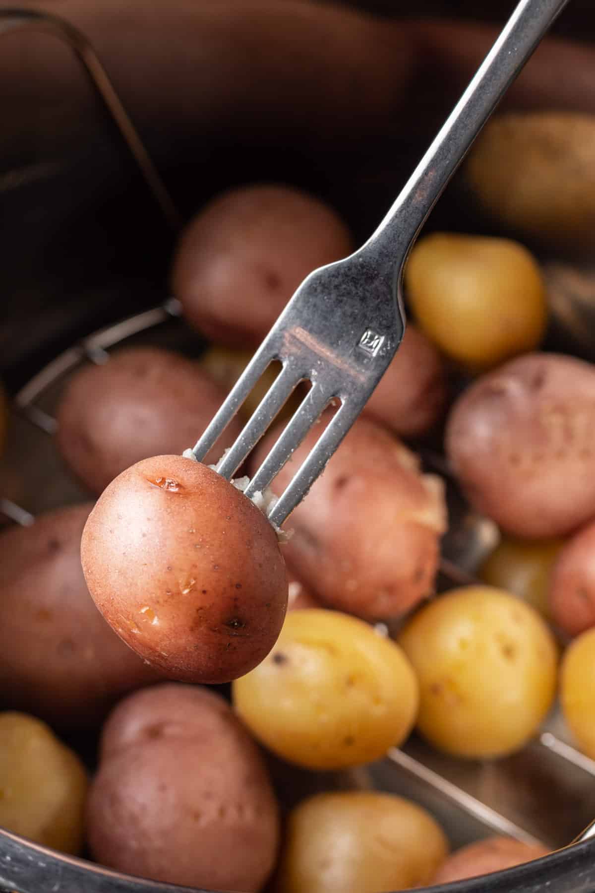 Baby potatoes in an instant pot with a fork piercing one.