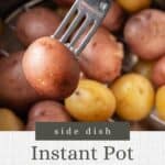 Pin graphic for instant pot boiled potatoes.
