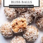 Pin graphic for lemon bliss balls.