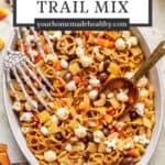 Pin graphic for halloween trail mix.