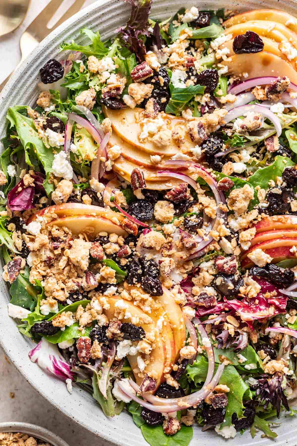 Michigan salad topped with apple crisp topping and sliced apples.
