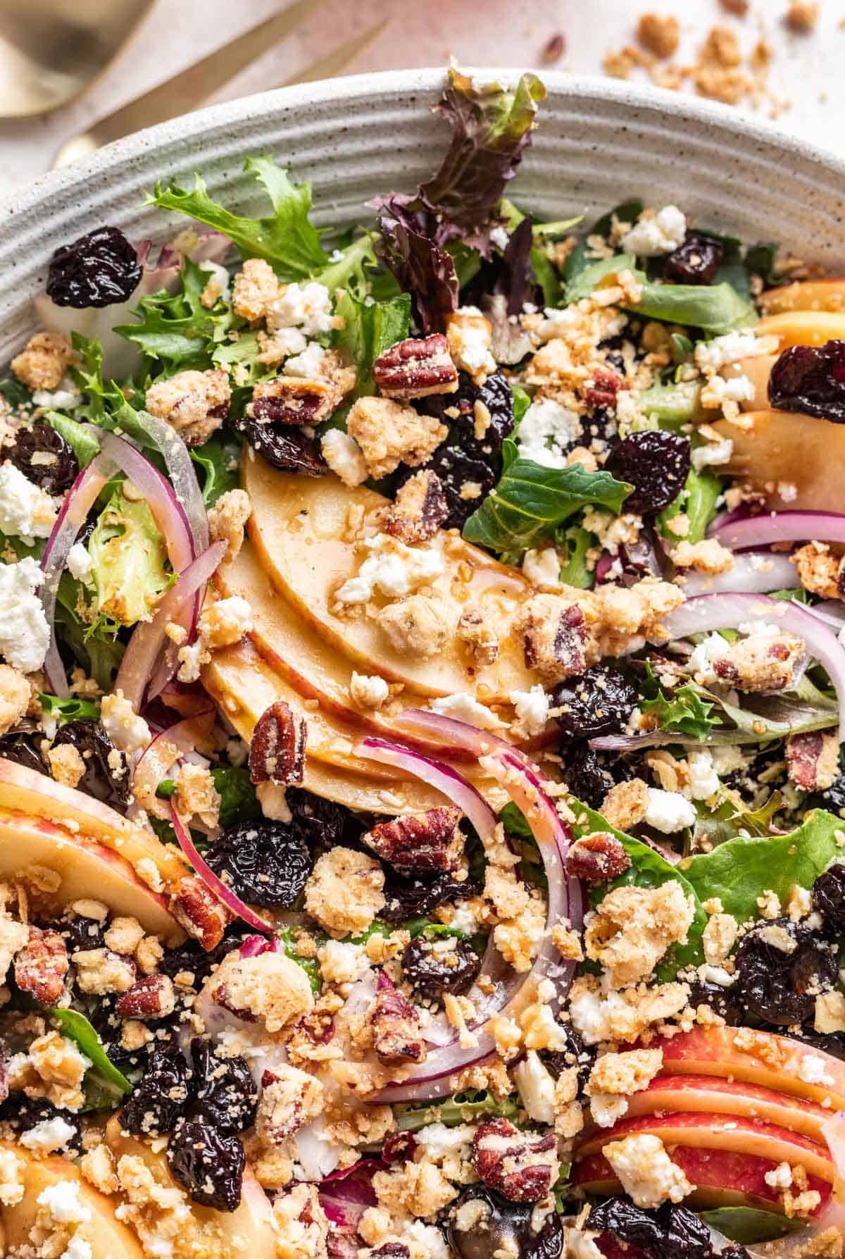 Sliced apples on lettuce with dried cherries, feta, and onions.