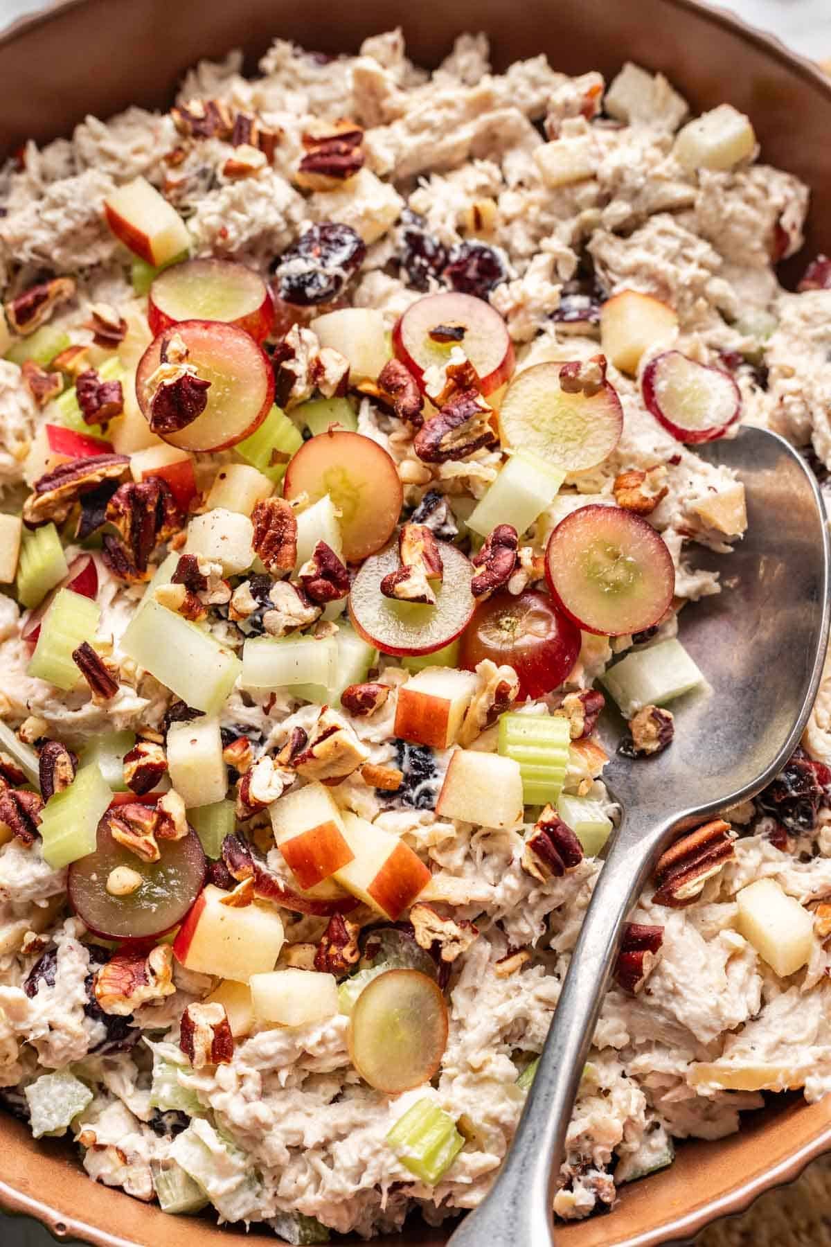Cranberry pecan chicken salad scooped with a serving spoon.