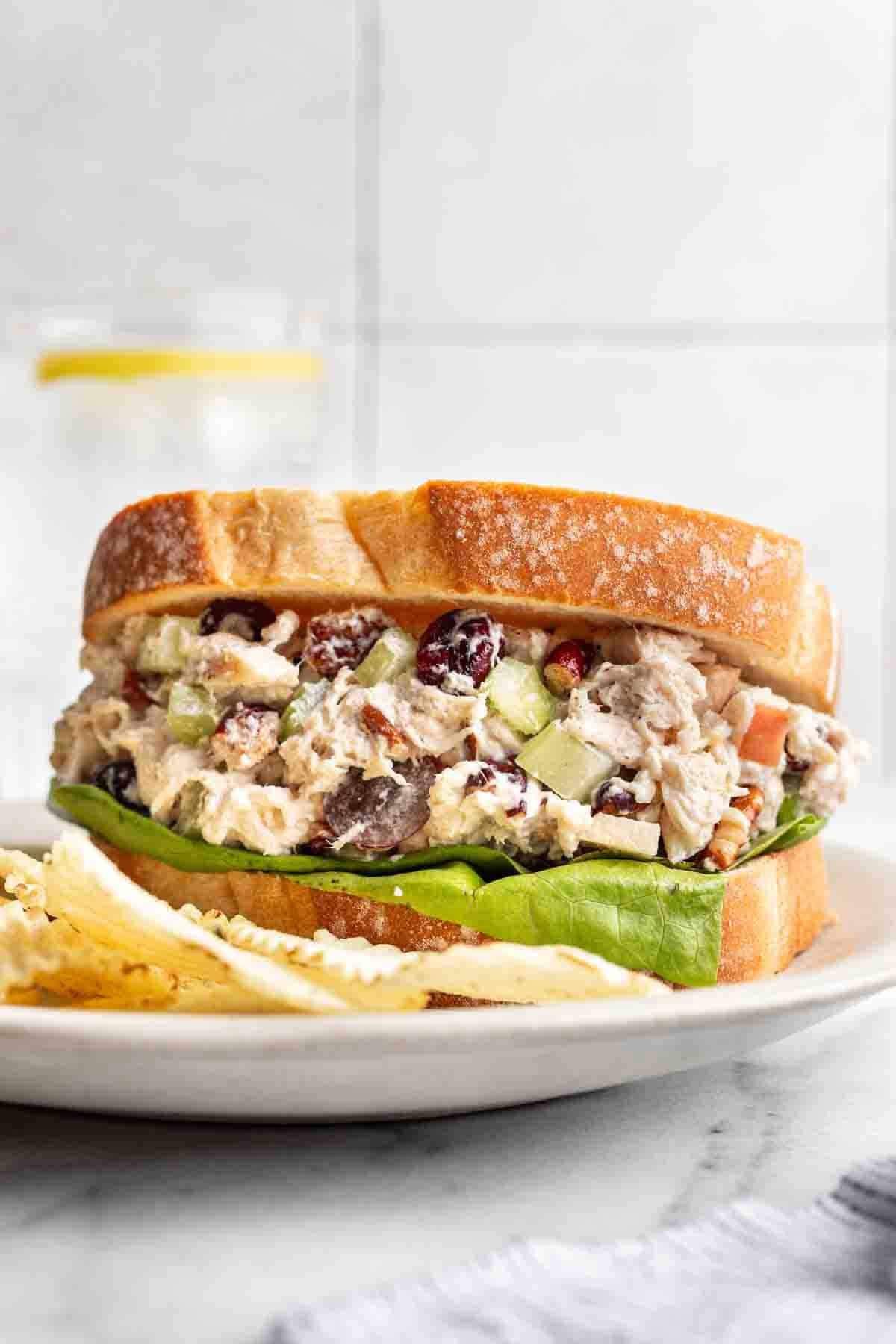 Cranberry pecan chicken salad on bread with lettuce for a sandwich.