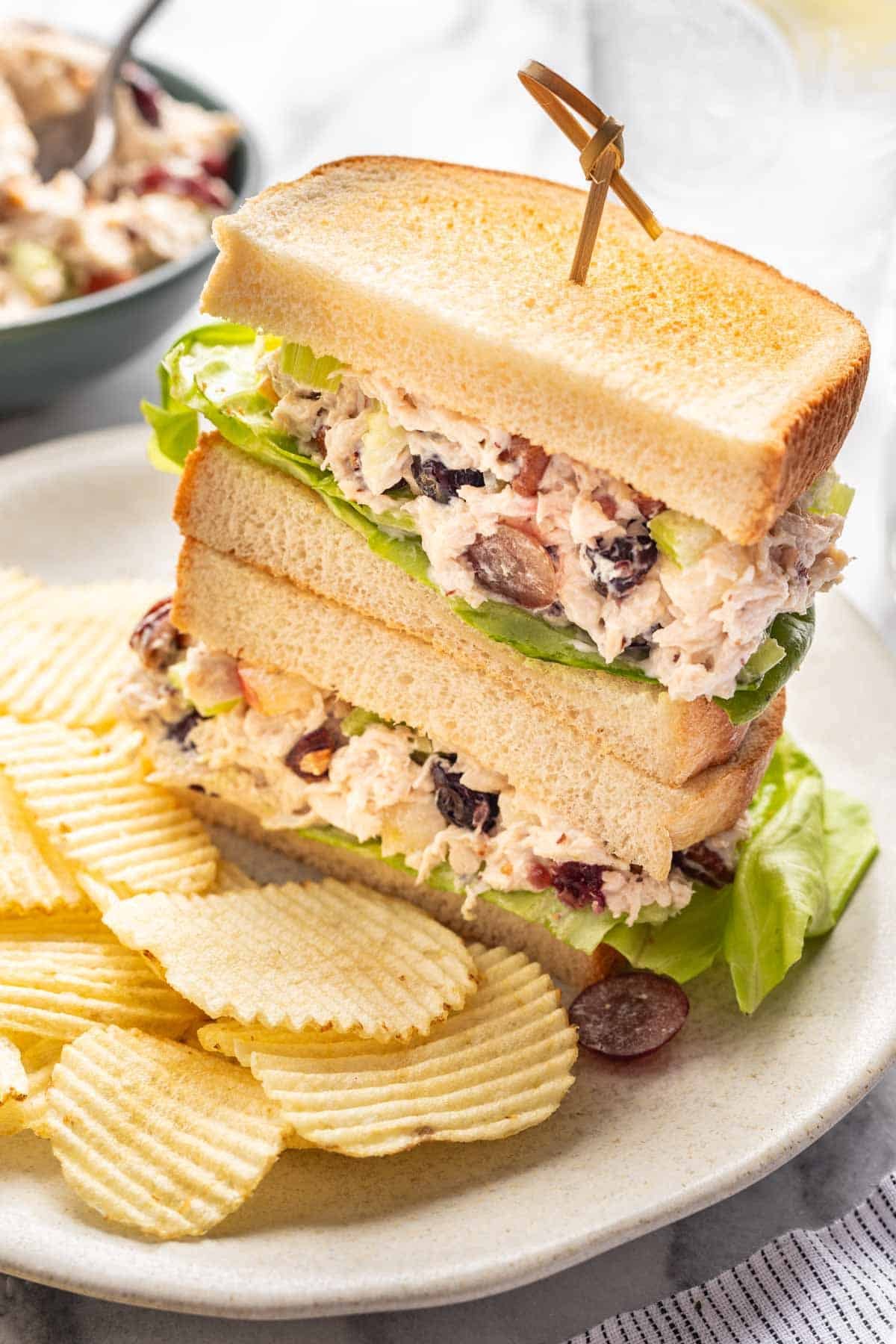 Cranberry pecan chicken salad on toasted bread with crisp lettuce.