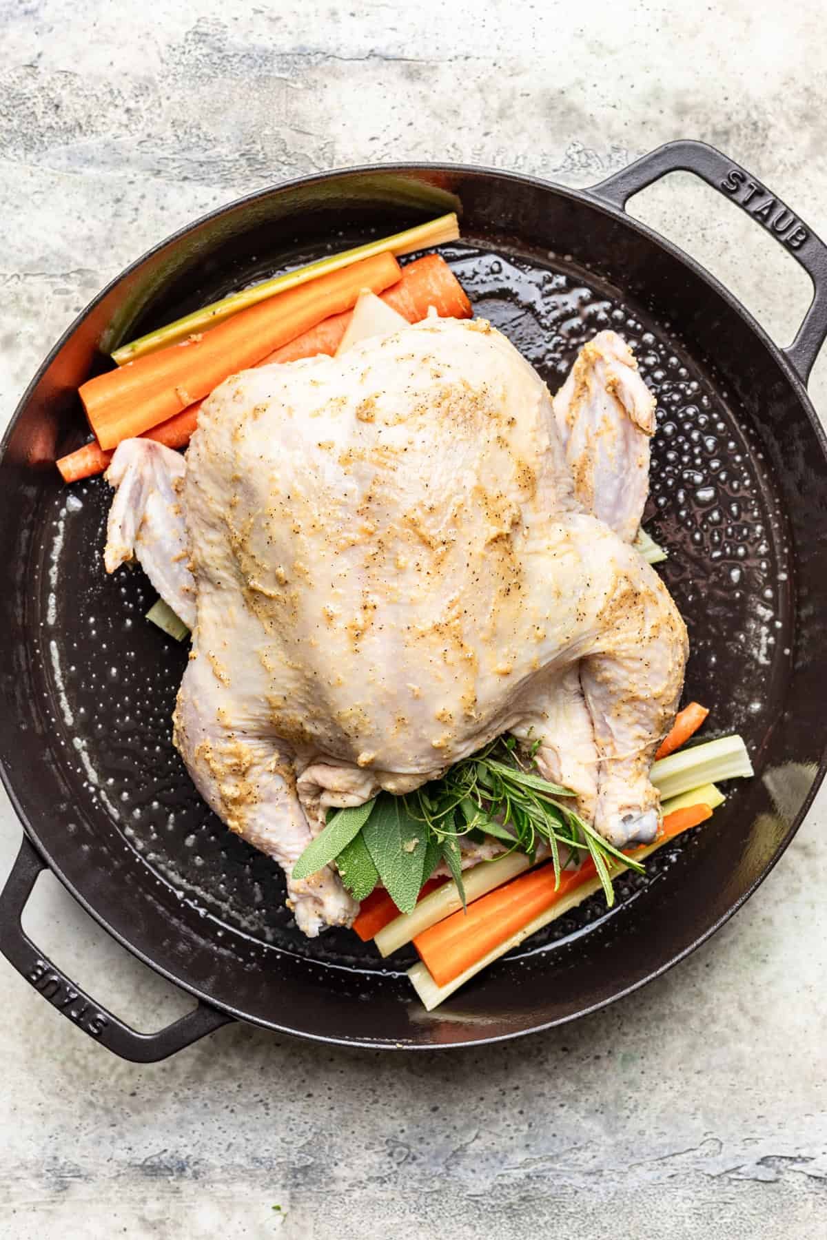 Seasoned whole chicken in a pan with carrots and celery.
