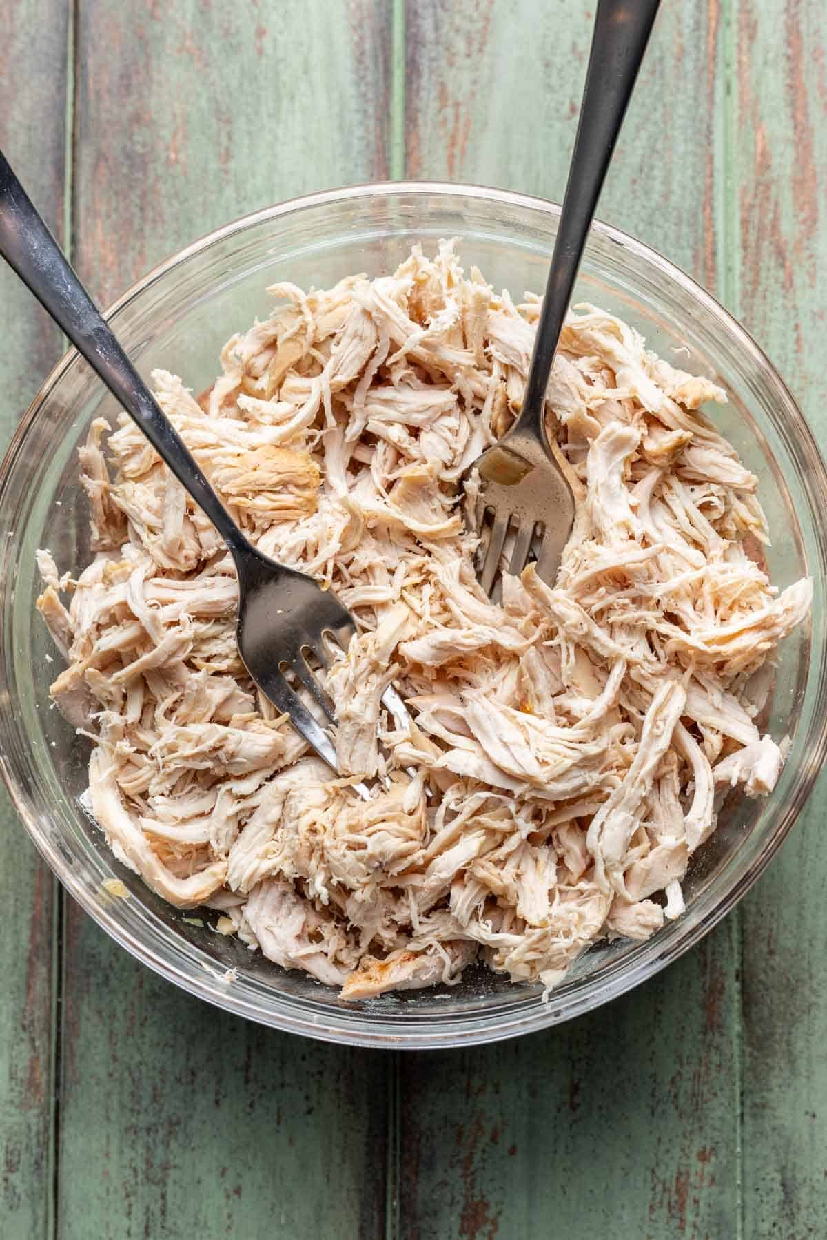 Chicken shredded with forks in a bowl.